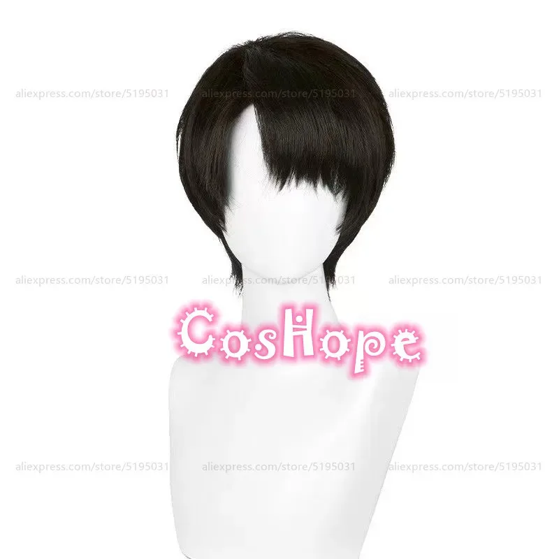 2025 Levi Ackerman Men 30cm Short Black Brown Wig Anime Cosplay Heat Resistant Synthetic Wigs Halloween