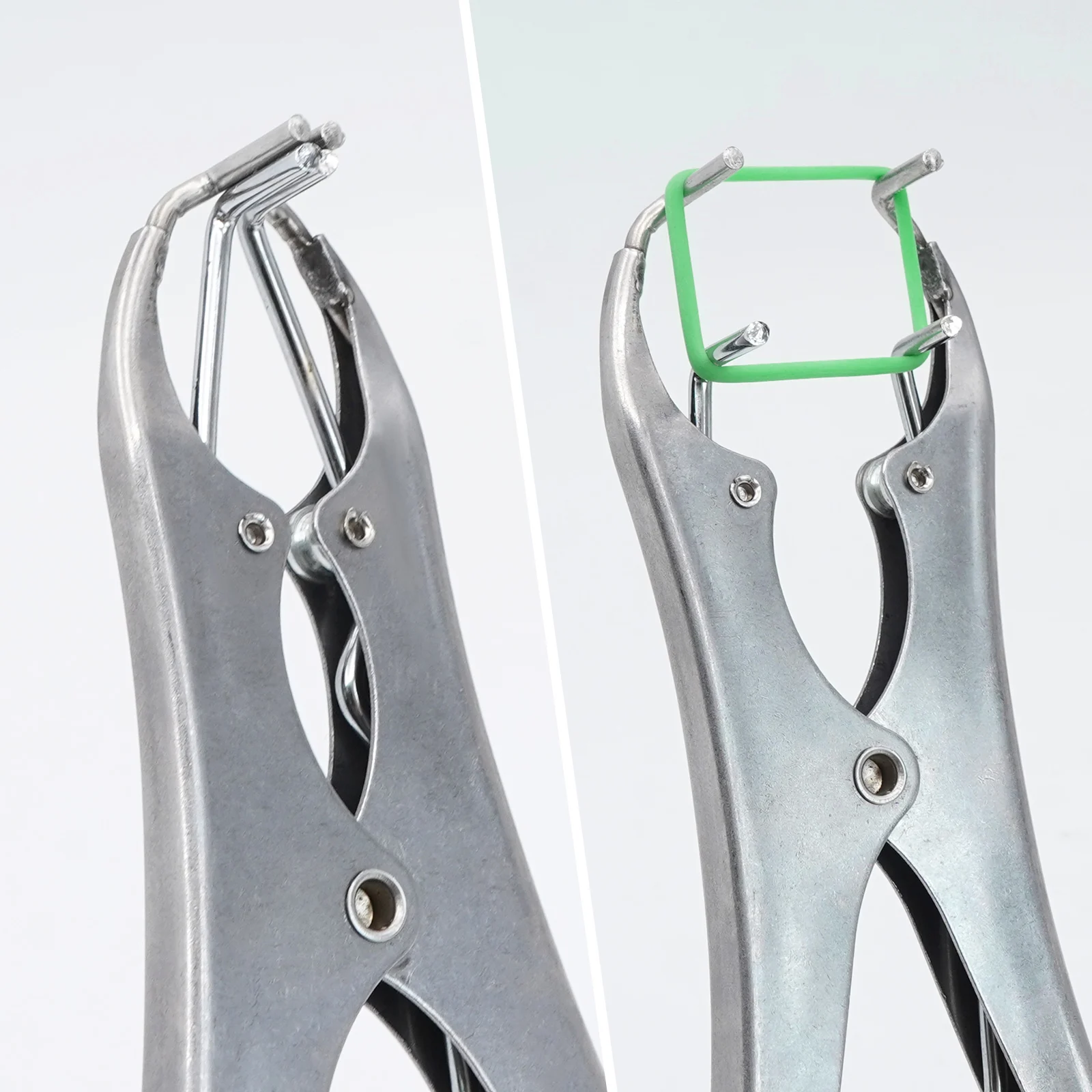 สแตนเลสแกะหักหาง Castration Forceps ขยาย CLAMP ความยืดหยุ่นยาง Castration แหวนฟาร์มสัตว์ Bloodless