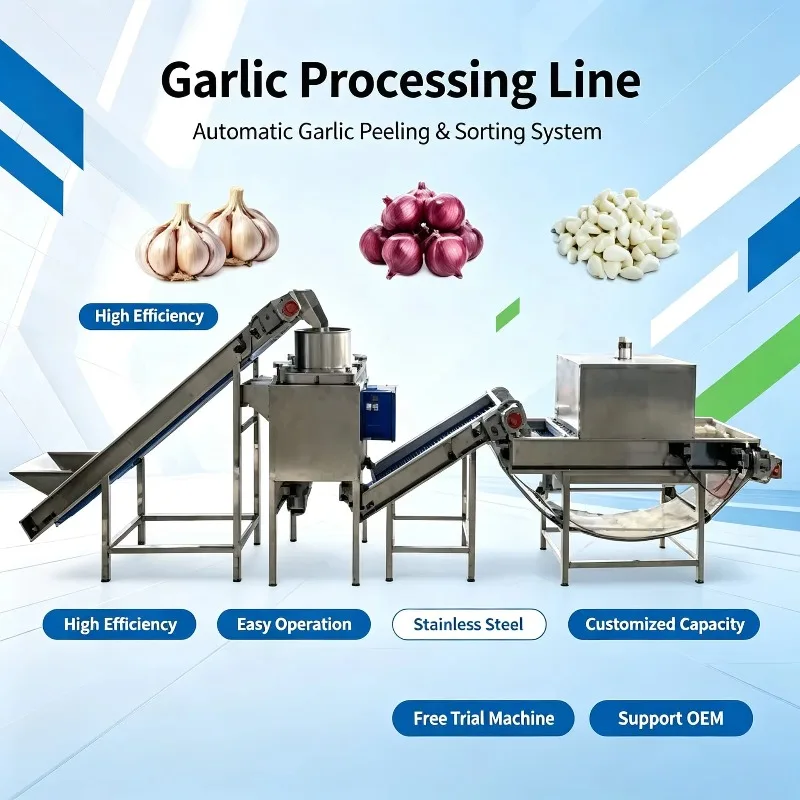 Complete Garlic Peeling Line Clove Separator Dry Skin Remover for Industrial Food Processing Plant Custom