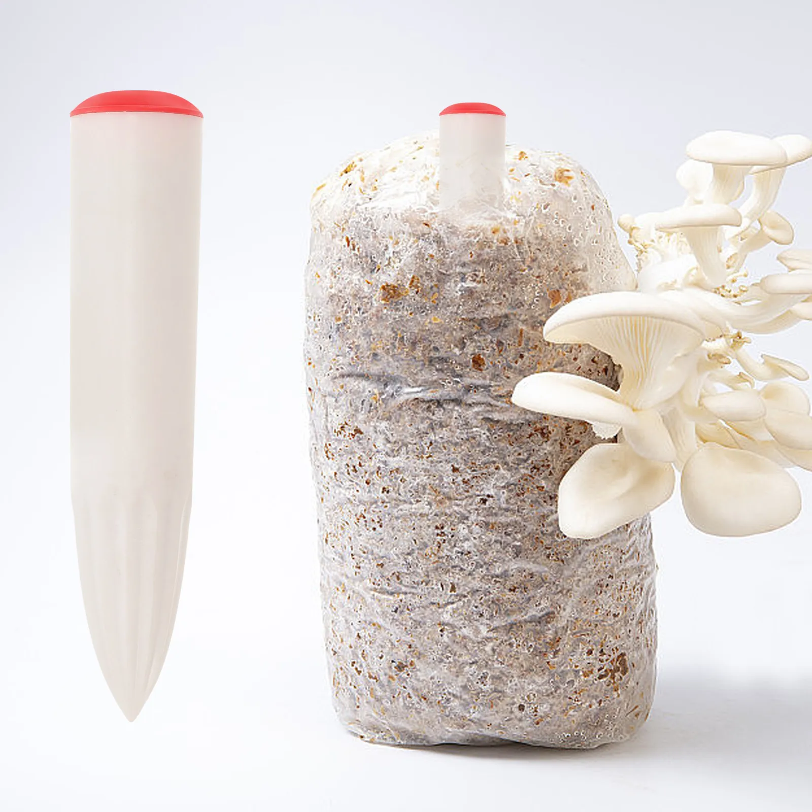 Mushroom Inoculation Puncher Rod Durable Reusable Spawn Planting Tool For Log Cultivation Edible Fungi Growing Stake Punch
