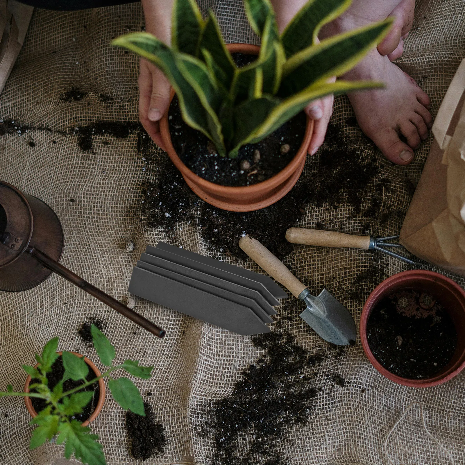 

10Pcs Plant Tags Large Garden Labels for Nursery Landscaping Professional Garden Markers Plant Identifying Boards