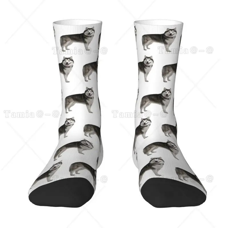 Calcetines divertidos de Husky siberiano para hombre y mujer, calcetines deportivos de baloncesto con estampado 3D de perro Malamute de Alaska
