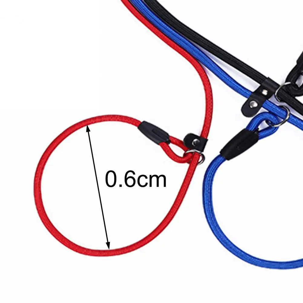 Dog Leash Strong Slip Lead Adjustable Loop High-density Nylon Braided Rope Training Leash for Large Medium Small Dogs