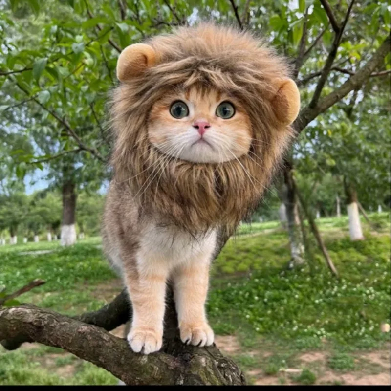 Halloween Lion Transforms Into Ghost Festival Pet Dog Cat Ha