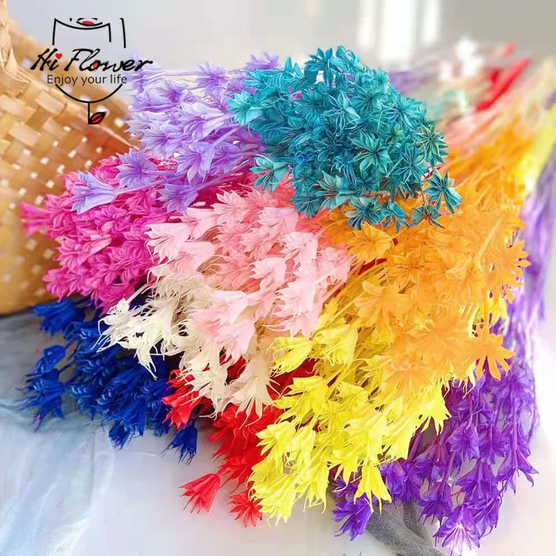 Natural Dried Flowers Eternelle Anise Star Flower Bouquet For Boho Home Decor Gypsophila Baby Braath Wedding Party Decoration