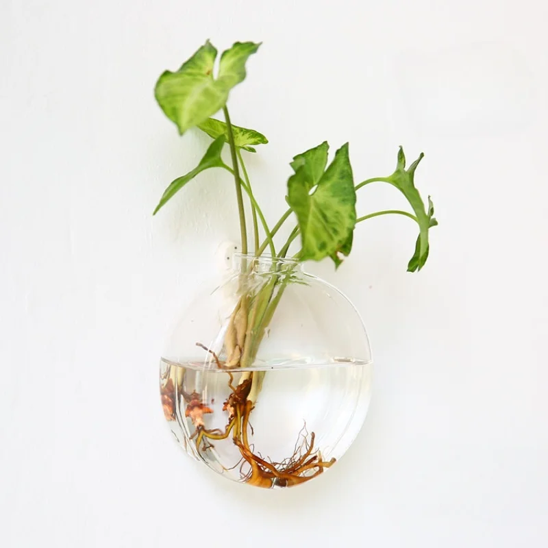 Wall Hanging Glass Terrarium- Self-Watering Hydroponic Planter for Home Office Decor