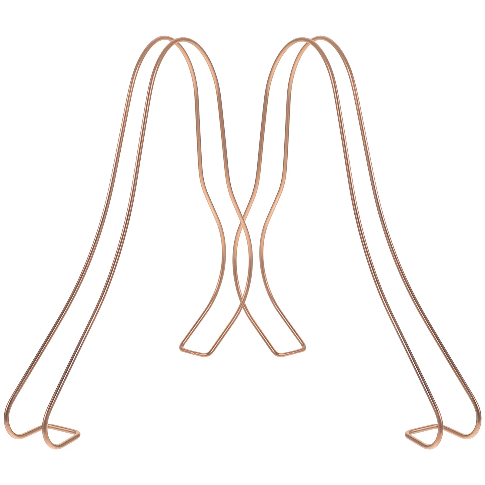 

Metal Shoe Display Rack Durable Elastic Storage Shelves High Heel Stand Organizer Premium Anti Rust Suitable Home Mall Shop Shoe