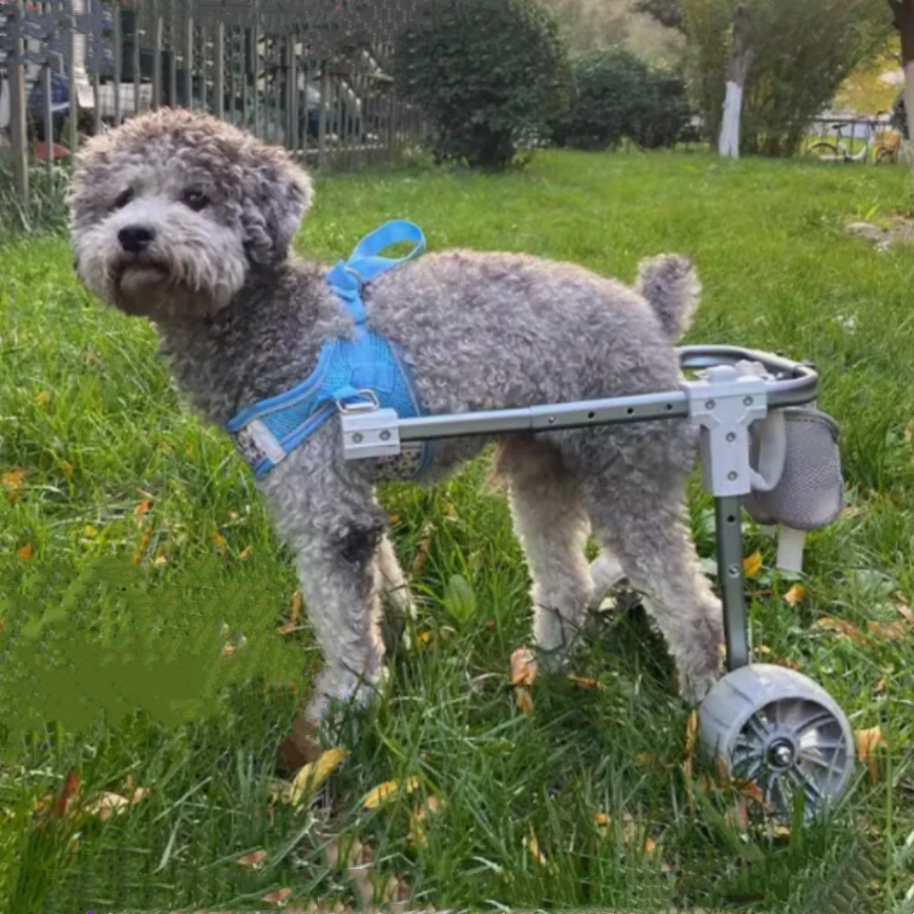 Dog Wheelchair Hind Limb Paralysis Rehabilitation Small Dog Walker Disability Car Cat Assistance Teddy Pet Dog Hind Leg Braces