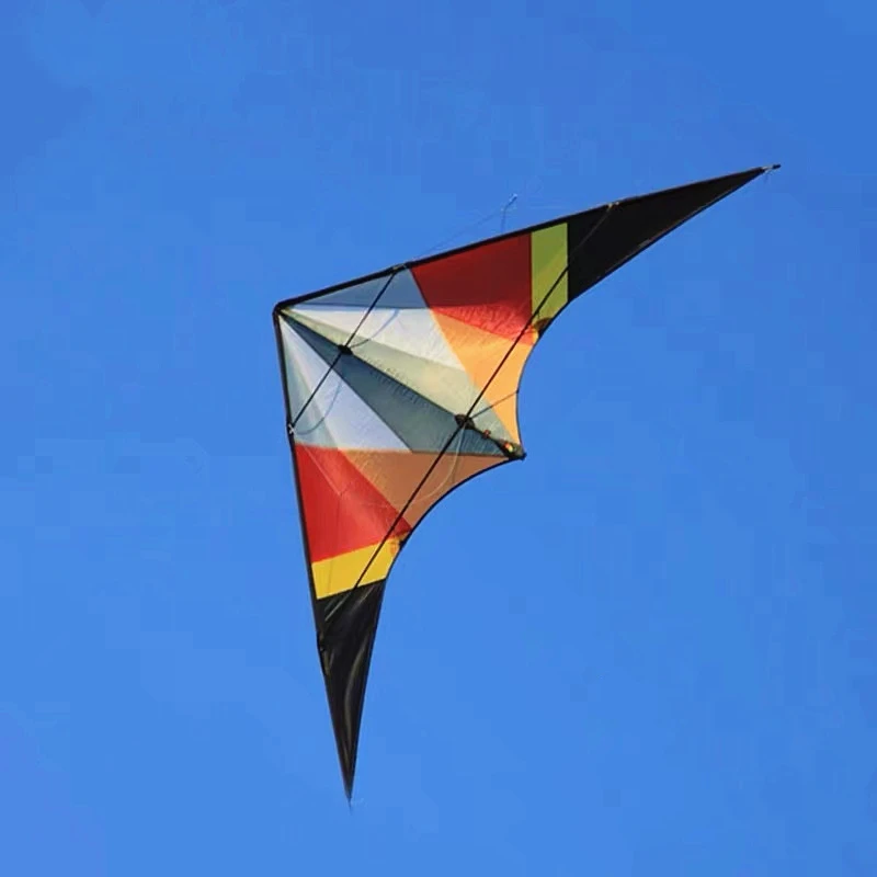 Dual Line Stroke Kite para adultos, Wing Power Kite, velocidades em voz alta, pipas de vento profissional, frete grátis, 255cm