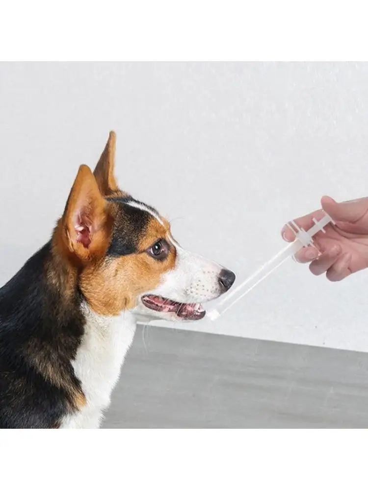 Cats For Pill Dog F…