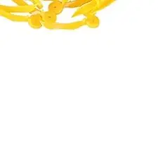 

Disposable Dental Wedges With Hole For Tooth Gap Separation Medical Grade Plastic Restorative And Orthodontic Dentistry Tools