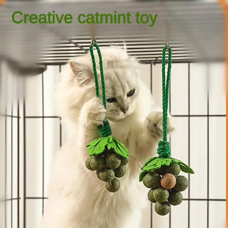 Creative New Catnip Toys, peppermint grape skewers, cat sticks, teething and bite resistant gall fruit cat toys