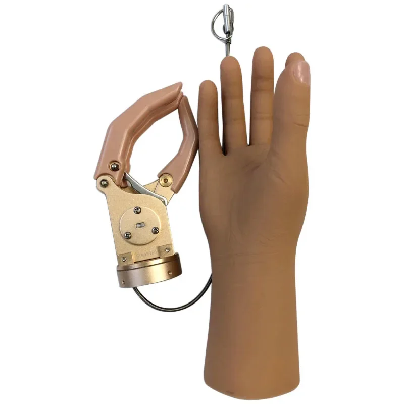 

Prosthetics Hand Artificial Implants Hand Cable Control Style Mechanical Below Elbow Prostheses Prosthetic Hand