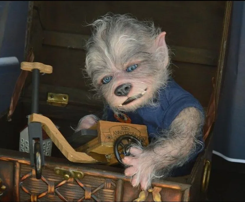 

EGO 19inch Reborn doll kit Robbie the Werewolf lifelike soft touch fresh color collectible art DIY toy