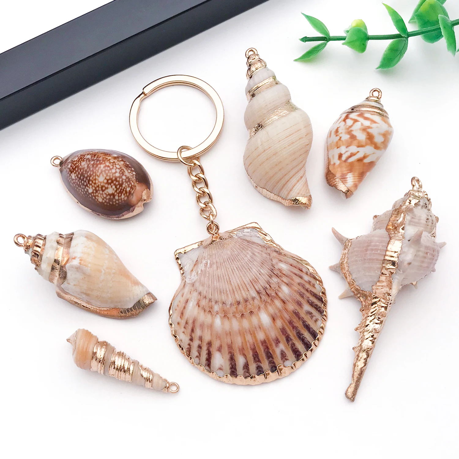 5pcs Natural Seashell Charms for DIY Jewelry Making