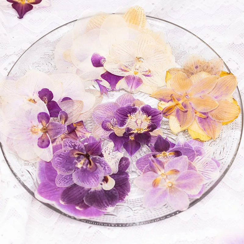 4 adet preslenmiş kurutulmuş P - Dried Flower Bulk incelemesi ve fiyatı