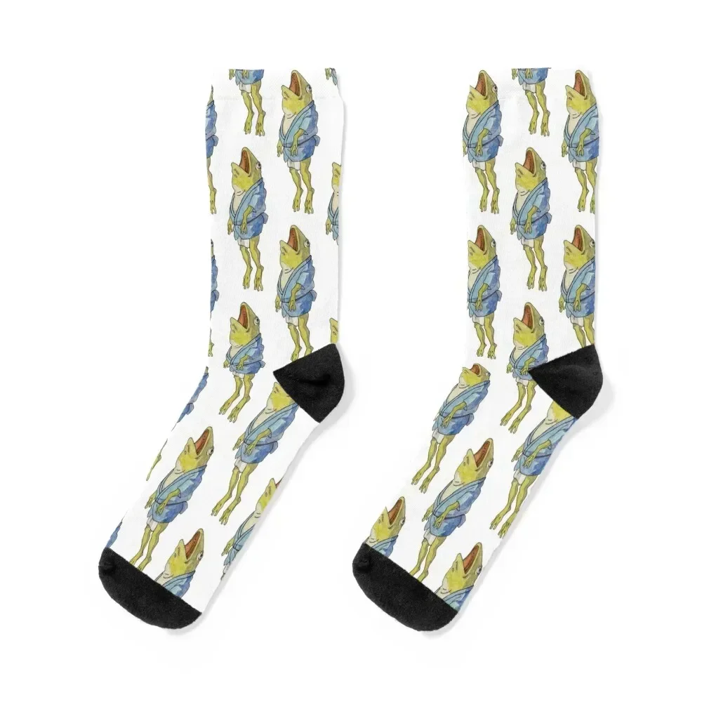 

Aogaeru あおがえる Socks japanese fashion custom cotton Luxury Woman Socks Men's