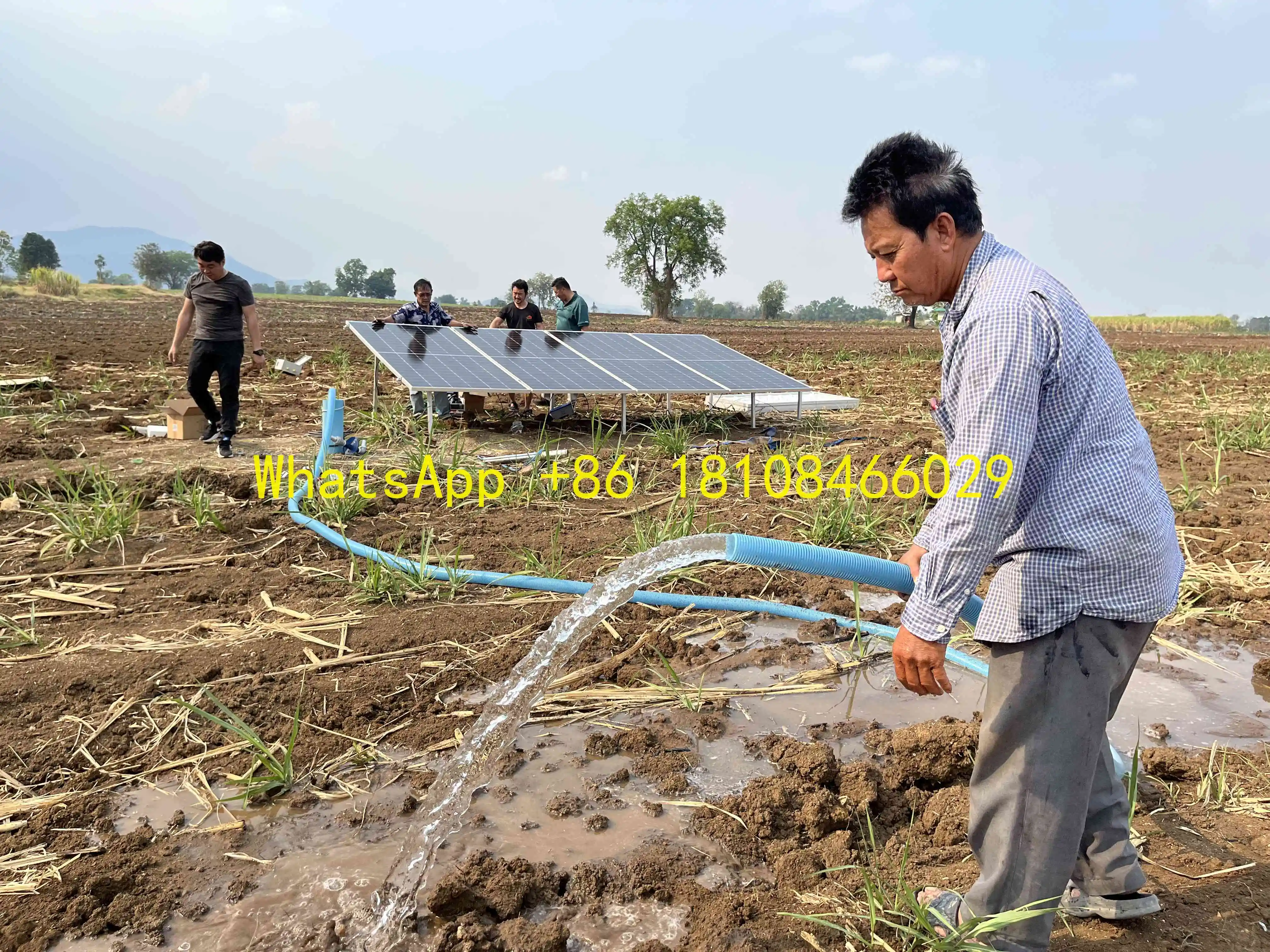 Warranty For Farm 1… - image