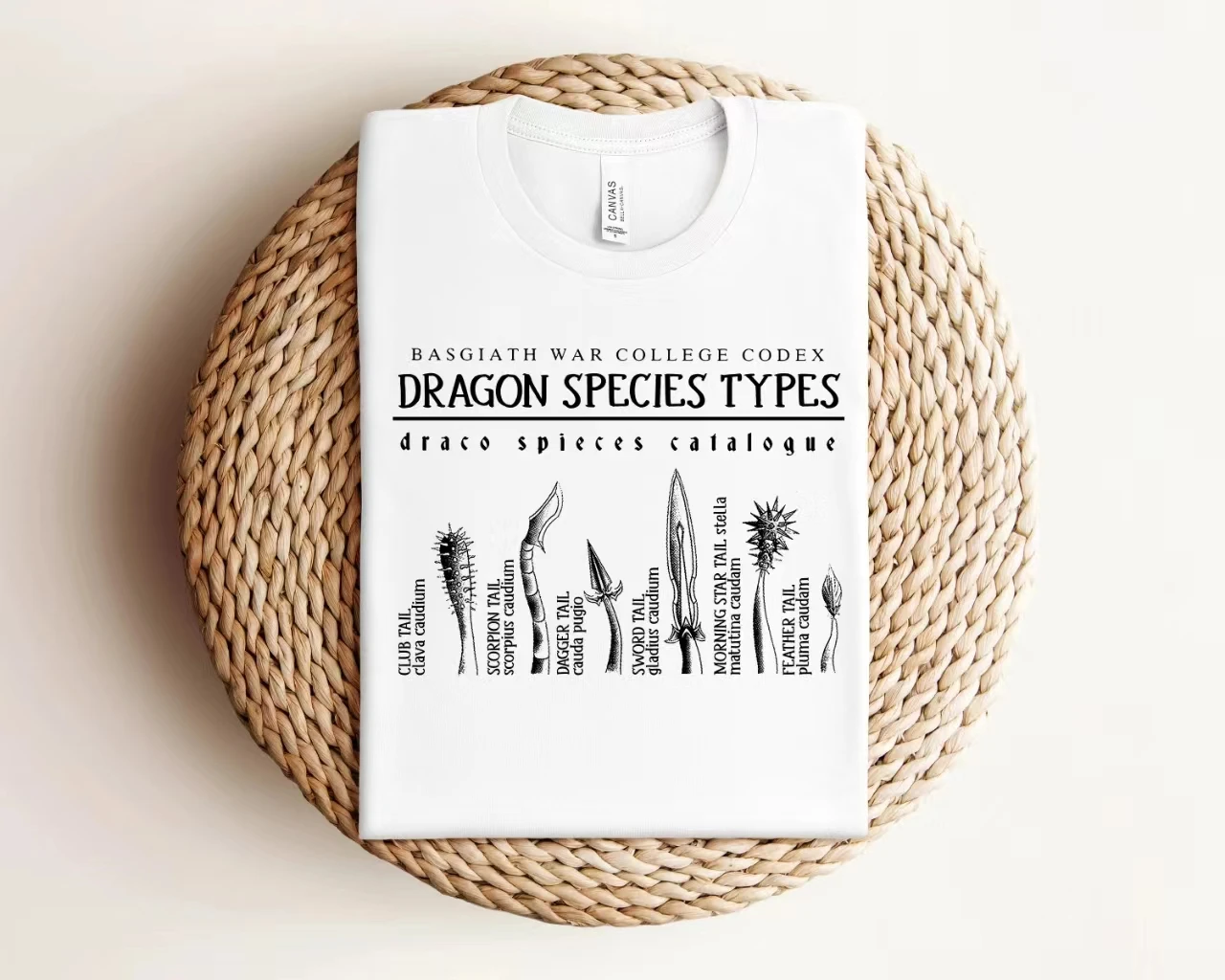 Dragon Species Types Slogan Women Sweatshirt Vintage Stylish Casual Female Sweater Retro Dragon Totem Print Girl Spring Tops