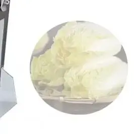 

Multi-Function Automatic Cutting Machine Commercial Electric Cabbage Slicer Vegetable Cutter