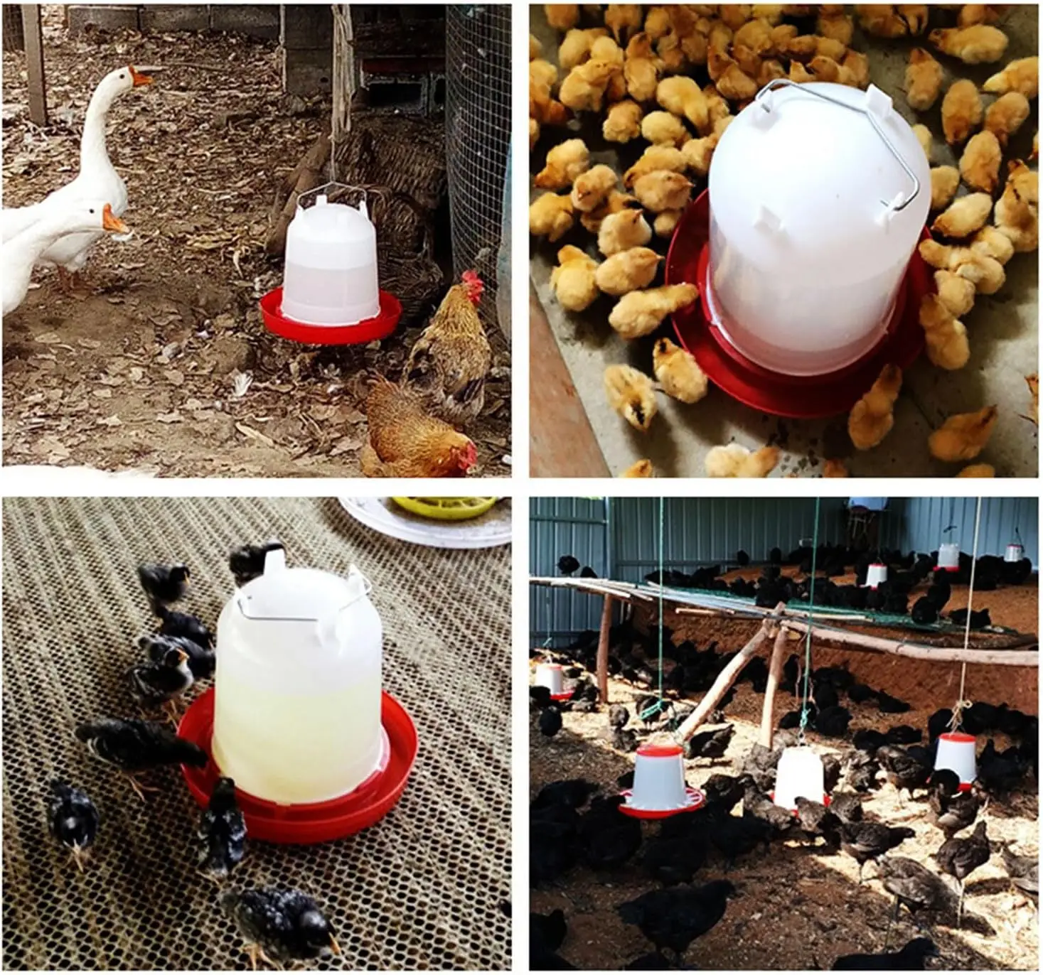 Thumbnail 4 - #15 Compare Automatic Livestock Feeders Before You Buy