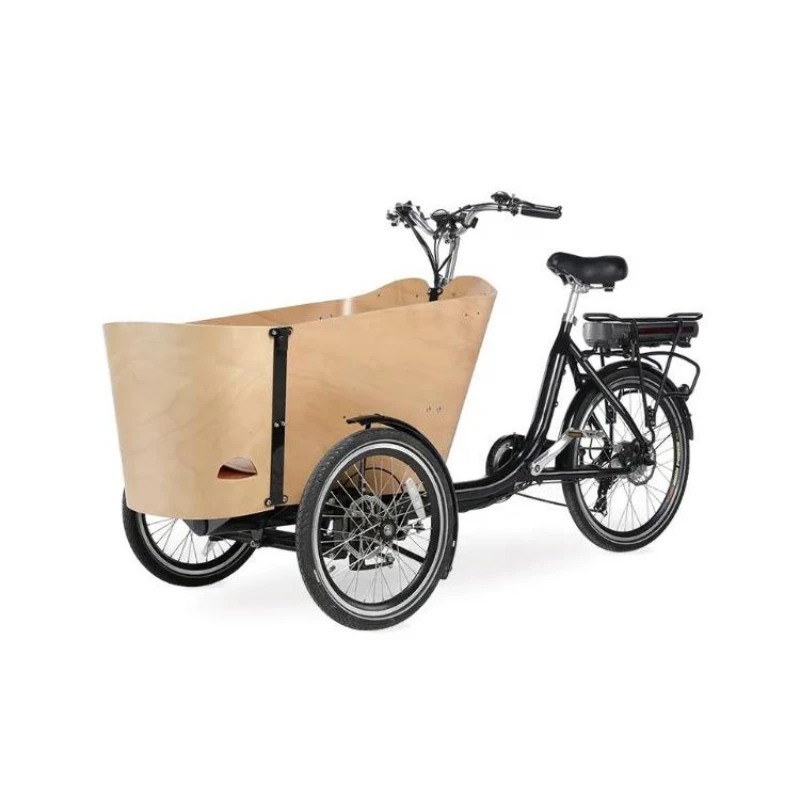 

European tricycle, export retro tricycle upside down human bicycle electric