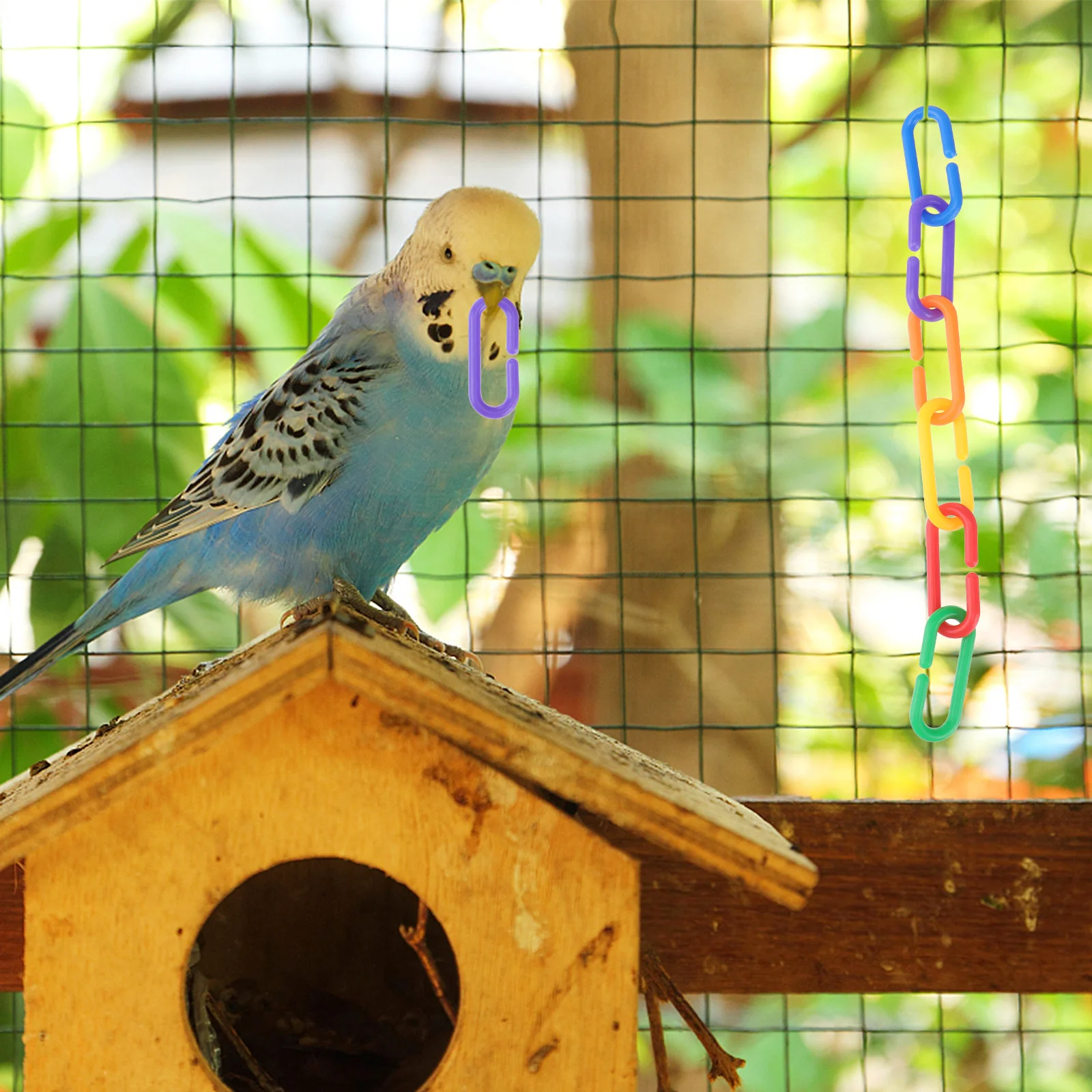 

100Pcs Plastic C-Clips Hooks Eco-Friendly Colorful Chain Links for Parrot Bird Cage Hanging Connectors Plastic C-Clips