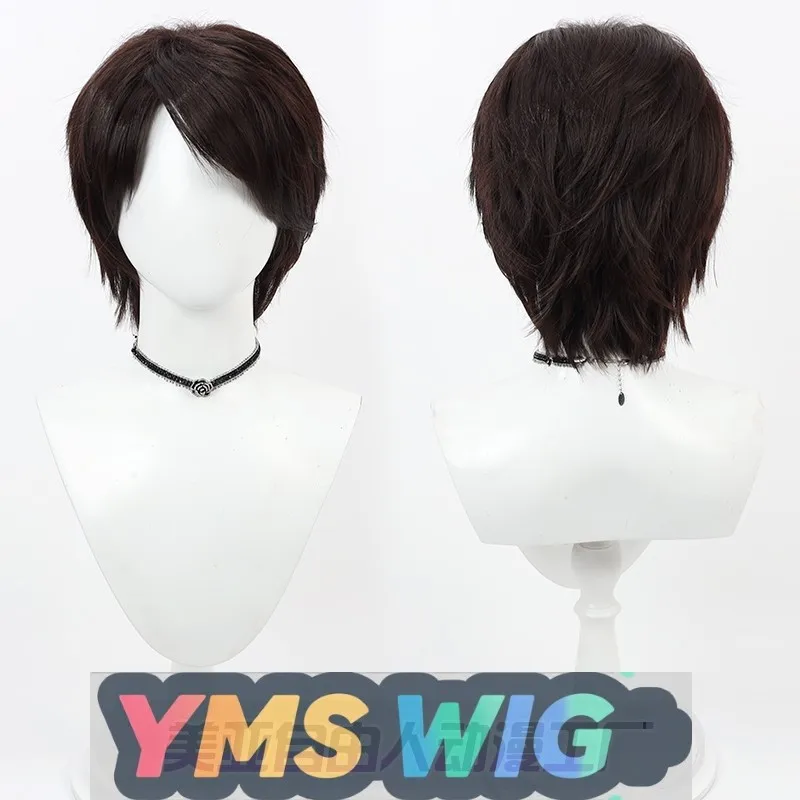 

【YMS WIG】Kamen Rider Decade Jinami Toshi Cosplay Wig Dark Brown Hair Top