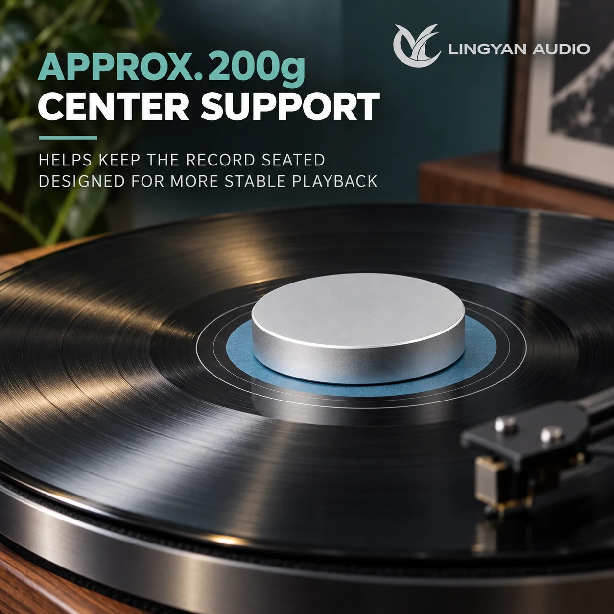 LP Vinyl Record Disc Stabilizer 200g Low-Profile Aluminum Turntable Weight for Smoother Playback Black Silver