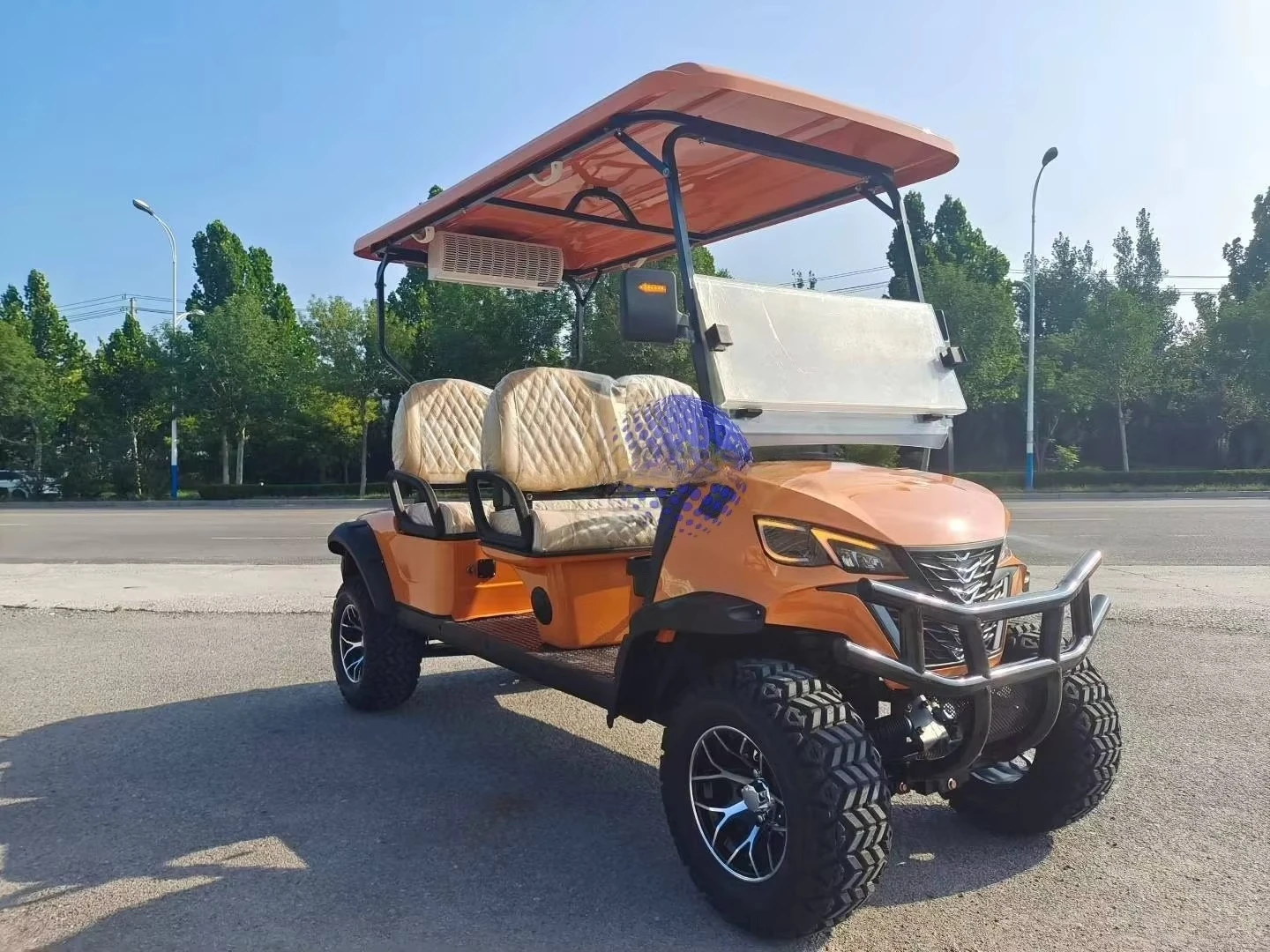 Rs 6 Seater Electric Ce Electric Golf Cart