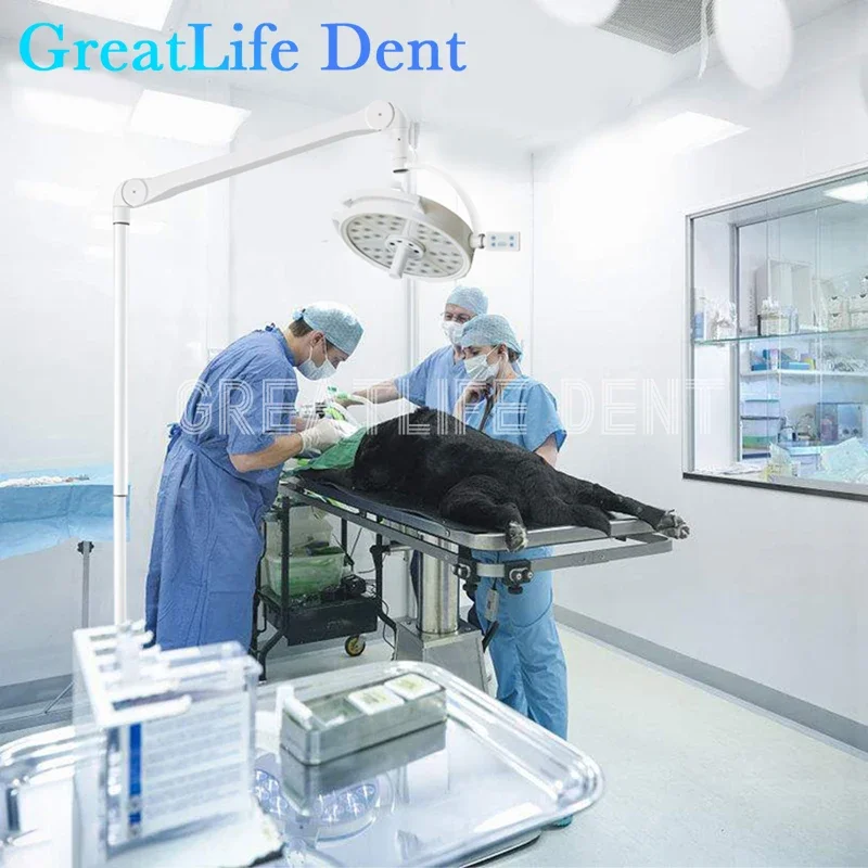 GreatLife 108W 36 LEDs 100000Lux Mobile Floor Shadowless Lamp Veterinary Pet Plastic Surgical Lighting