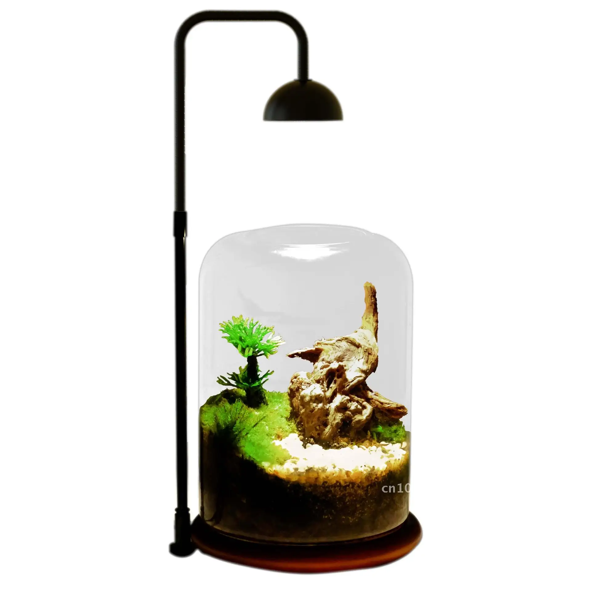 

Ecological Glass Bottle Micro Landscape Container Fish Tank Vase Transparent Handmade Hydroponic Moss Aquarium Flower Arranging