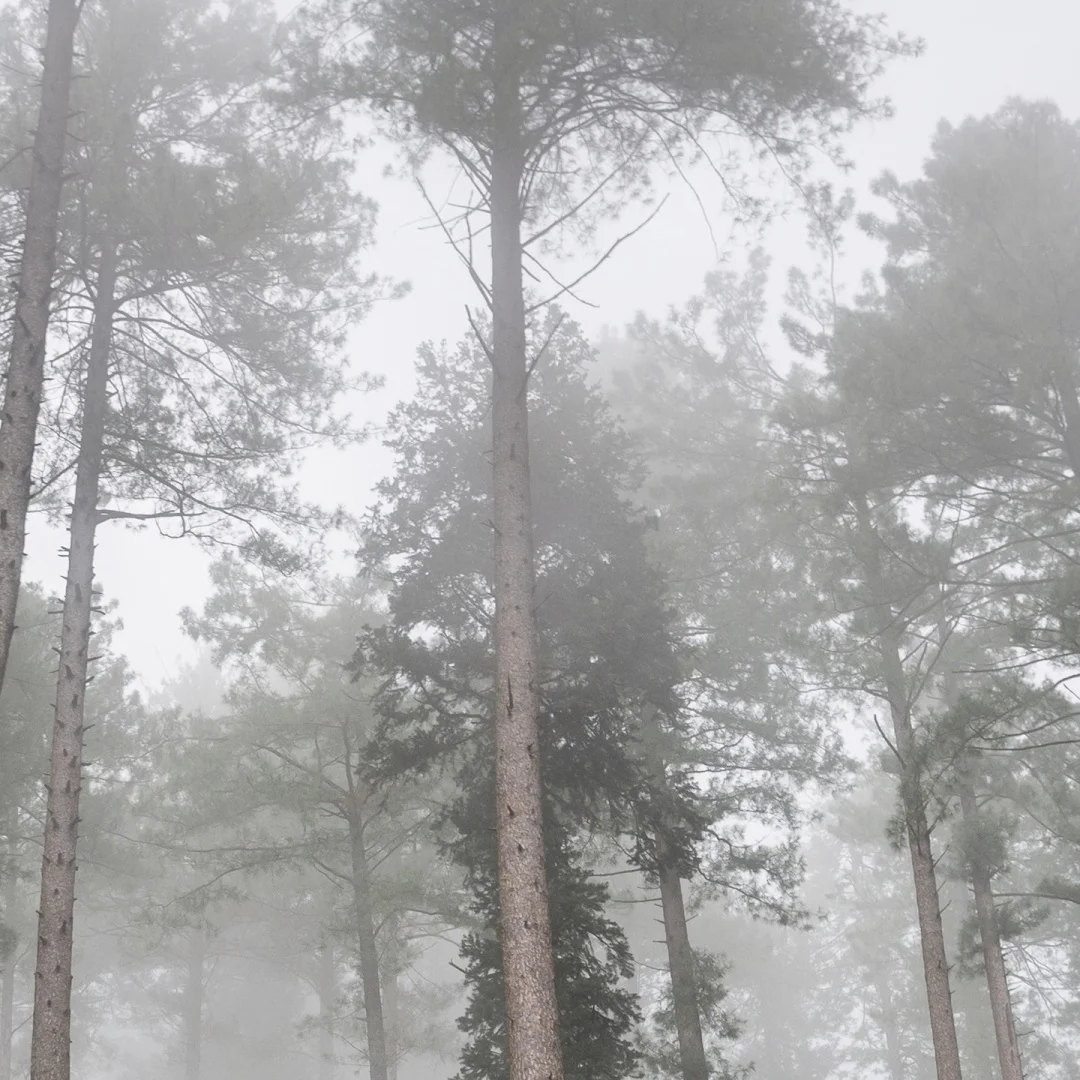 

L Android 13 Multimedia For Porsche Cayenne 2010-2017 Car Radio Video Stereo Gps Navigation Auto Wireless Carplay Head Unit