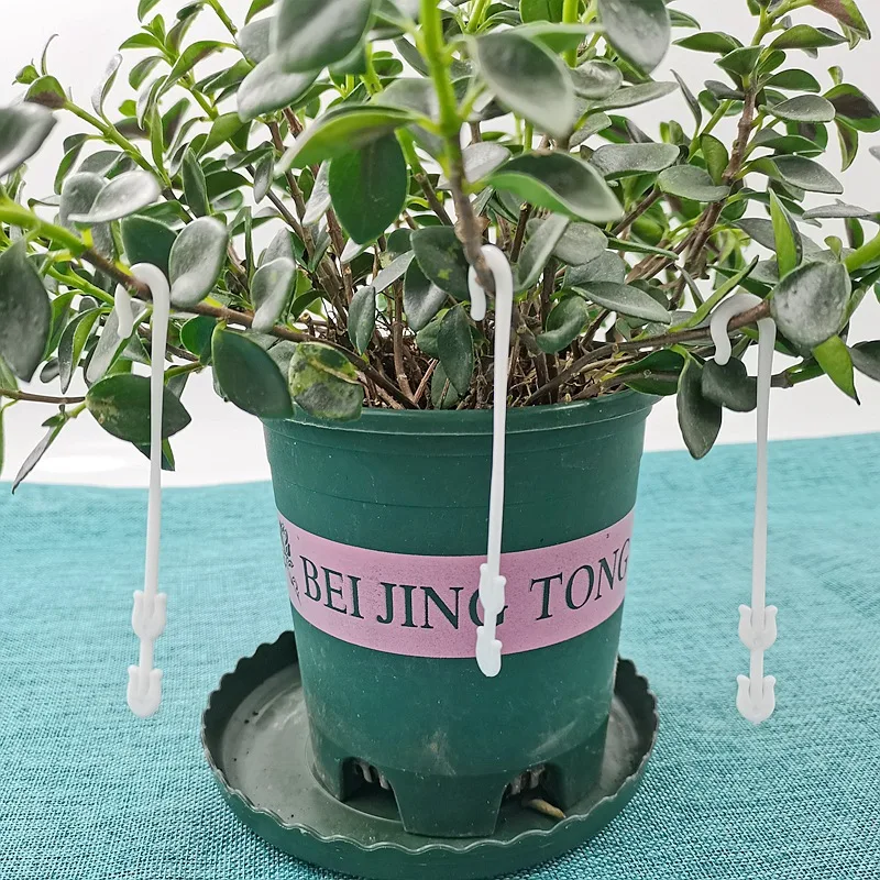 20/50/100Pcs Garden Plant Support Tomato Support J Hook Tomato Plant Holder Binder Vegetables Clamp Anti-crush Hooks Length