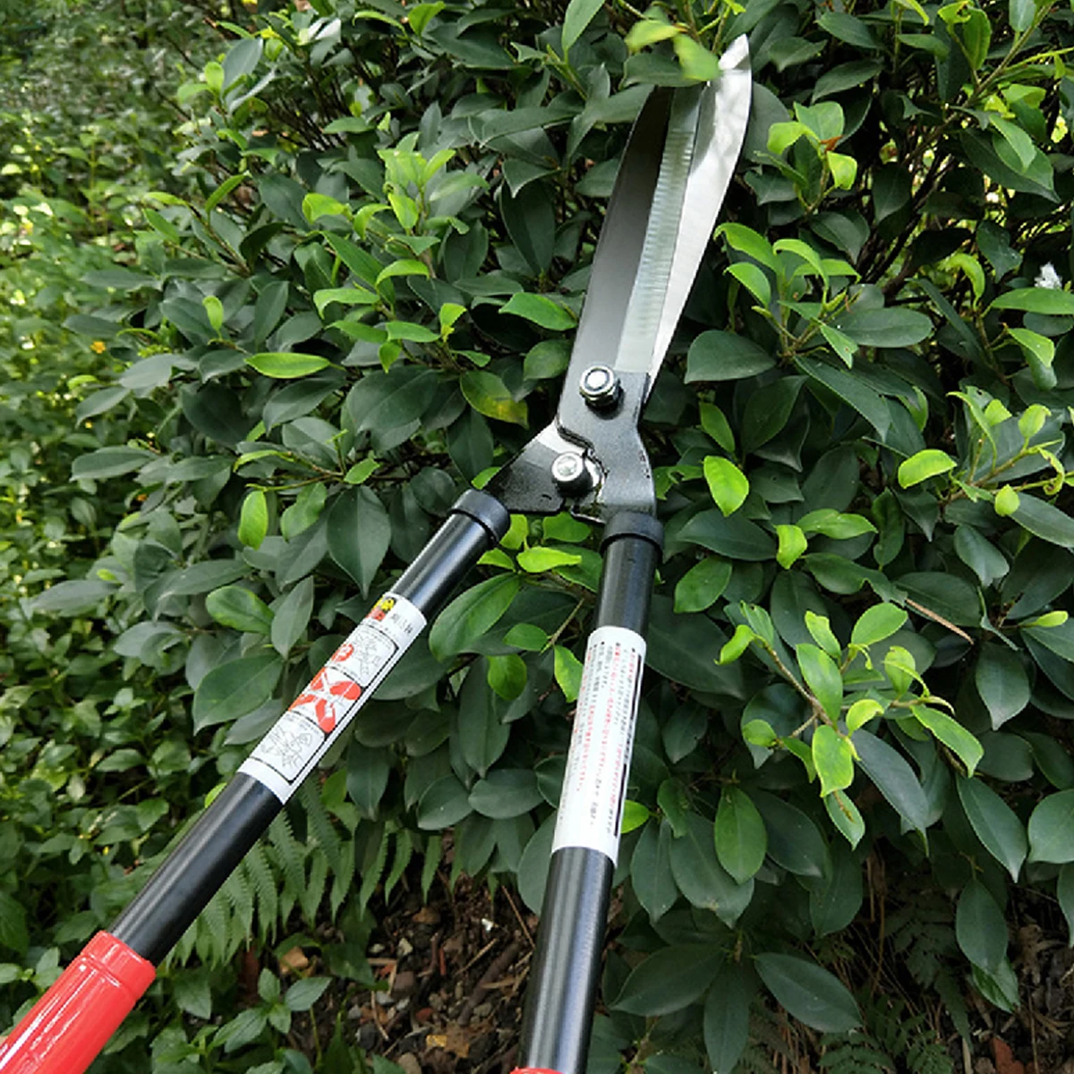 Tijeras de podar de mango larg - Gardening Tools Long Handle reseña y precio