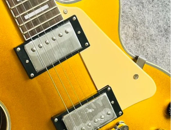 Image of Elektrische Gitarre, verchromte Hardware, Mahagoni-Korpus, Palisander-Griffbrett, Gitarre AA001