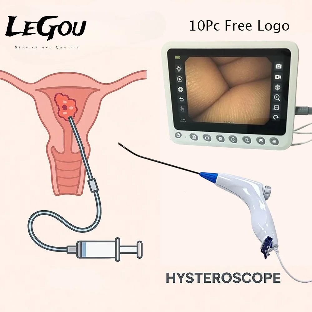 LeGou Professional  Disposable Flexible Hysteroscope  With Mini Camera Customized Connector for Human Market Medical Endoscope U