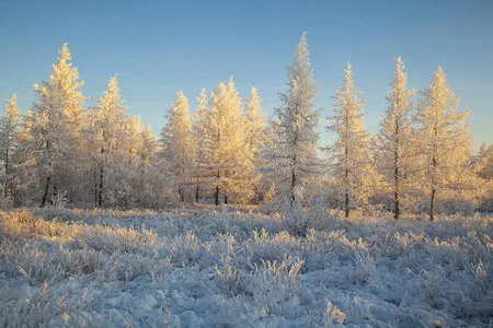 

Metal Gear Servo 5 Wire for SG 1603 SG 1604 SG1603 SG1604 1/16 RC Car Upgrade Parts Accessories