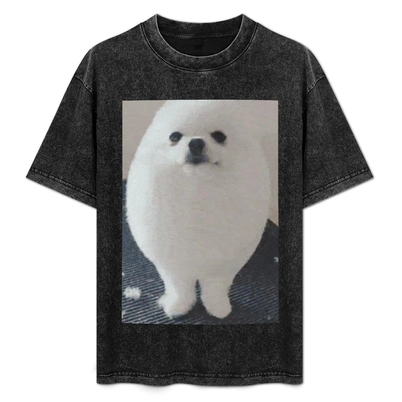 

Egg Dog T-Shirt Sun Block Outdoor T-Shirt