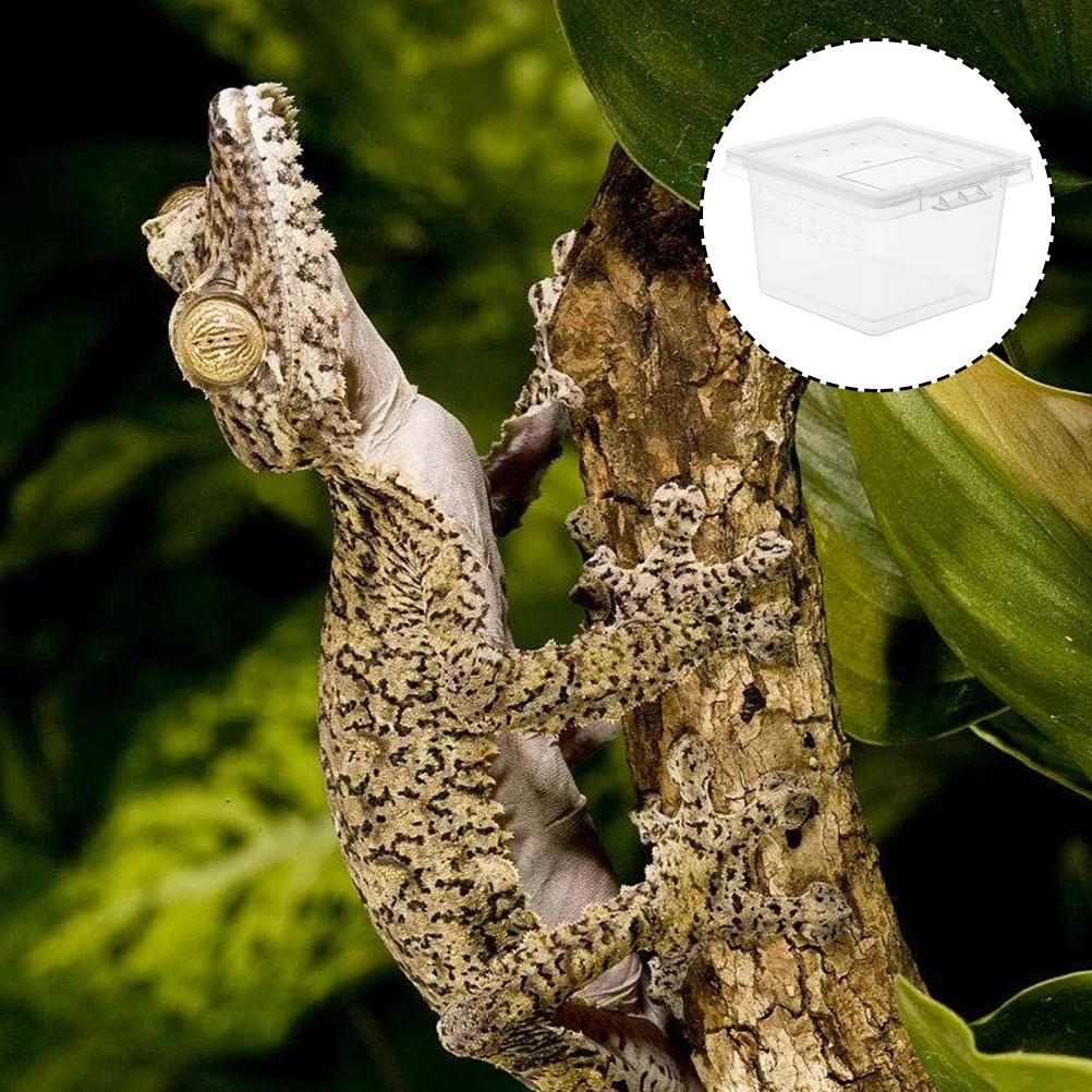 

12Pcs Reptile Box Durable Clear Breeding Container Ventilated Habitat Feeding Box for Small Reptiles Spiders Snakes Geckos