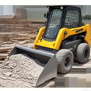 12 최고의 영업 스키드 로더 -19