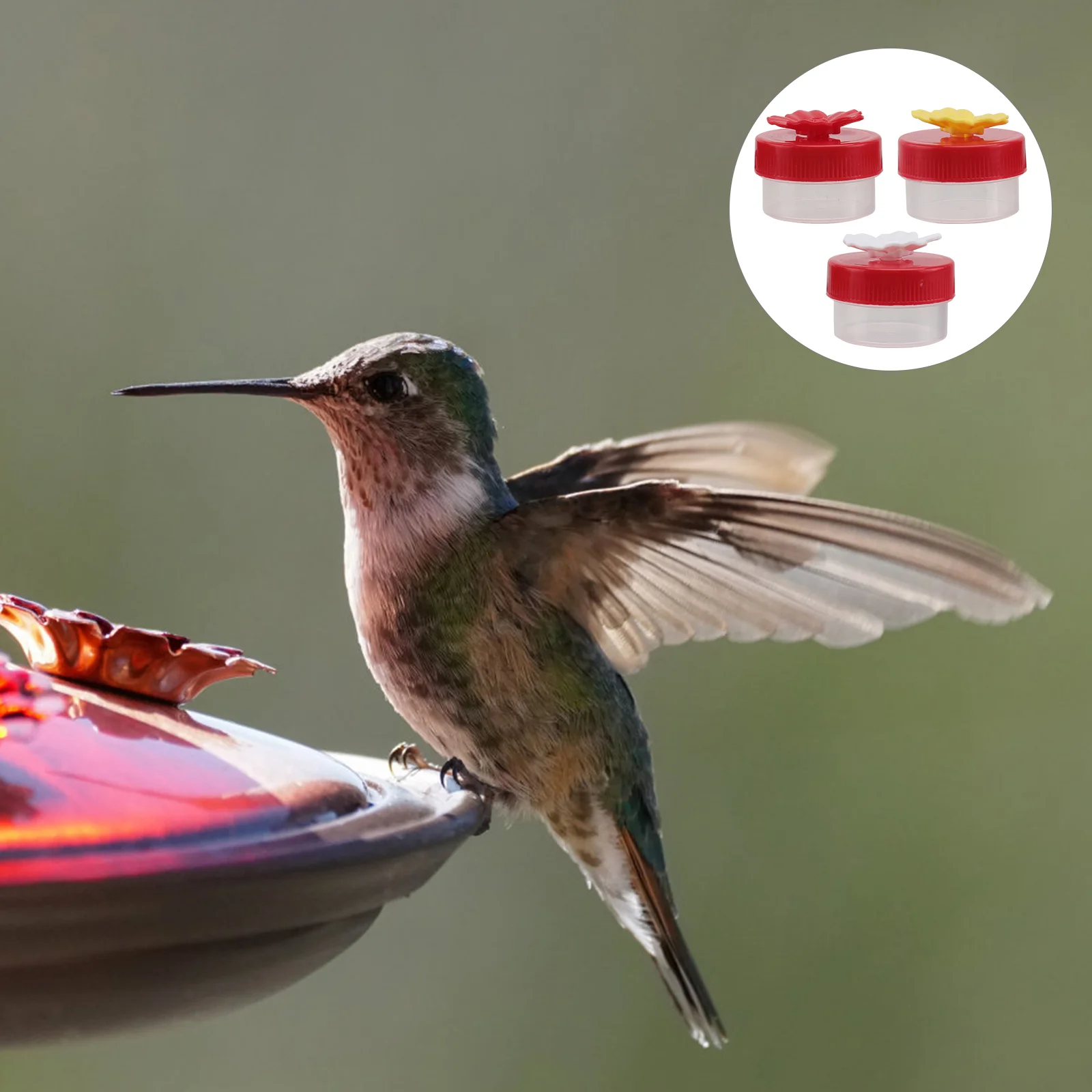 

3 Pcs Bird Feeder Accessories Small Terrarium Hummingbird Supplies Replacement Flower Feeding Ports Feeders for outside