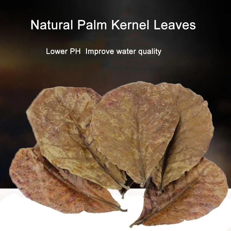 Natural Olive Kernel Leaves Antibacterial Softening Water Quality Improving PH Value of Water Quality Douyu Turtle Tropical Fish