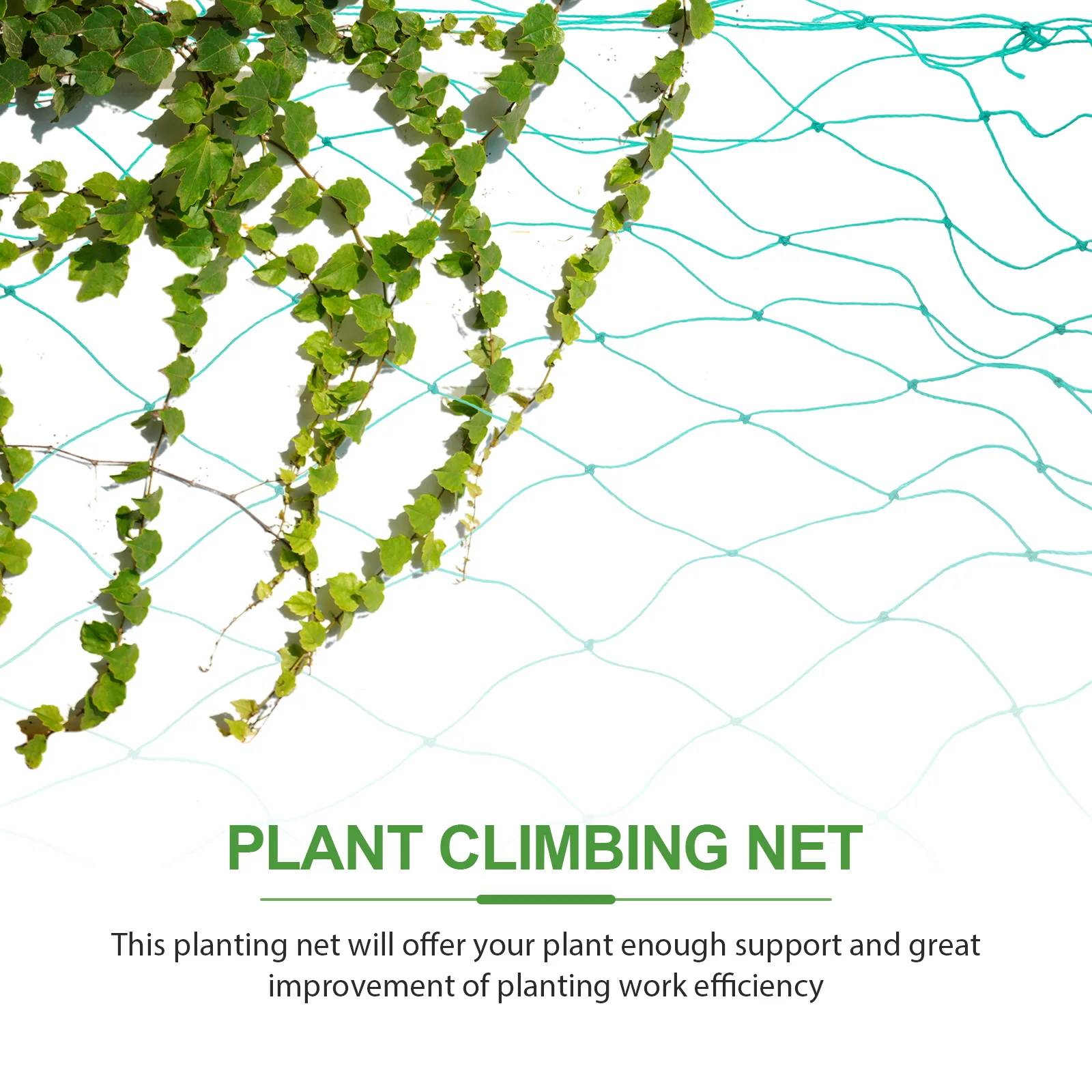 

Plant Climbing Net Garden Trellis Netting Support Vine Plants Lightweight Polyethylene Outdoor Balcony Use Garden