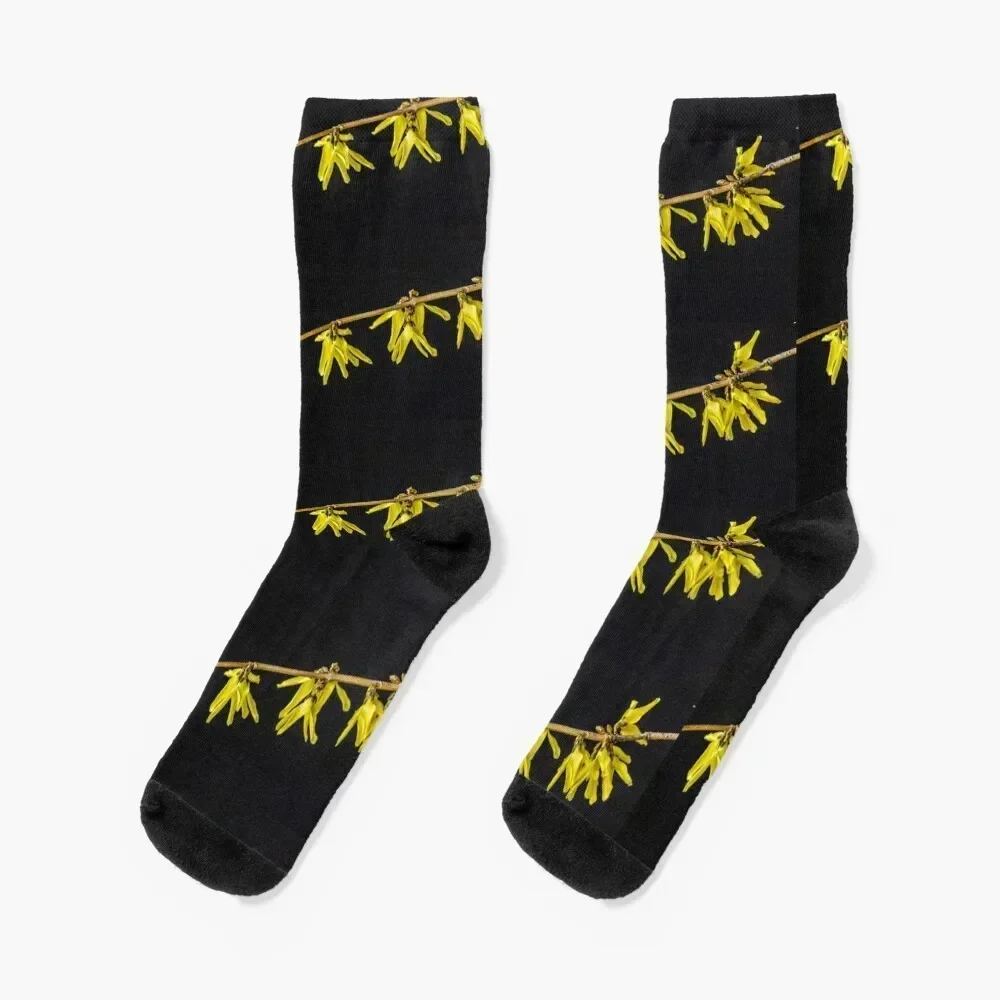 

Forsythia 4 Socks kawaii Rugby colored Boy Child Socks Women's cute Lots heated custom sports Socks For Man Women's