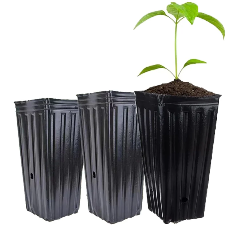 20pcs Tall Deep Tree Pots, Plant Nursery Tall Flower Plant Containers Starting Pots Plant Seedling Nursery Pots for Outdoor Gard