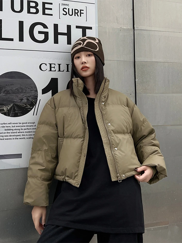 

Женская осенне-зимняя утепленная куртка из искусственной кожи и хлопка, свободного кроя, с воротником-стойкой, на молнии, цветная