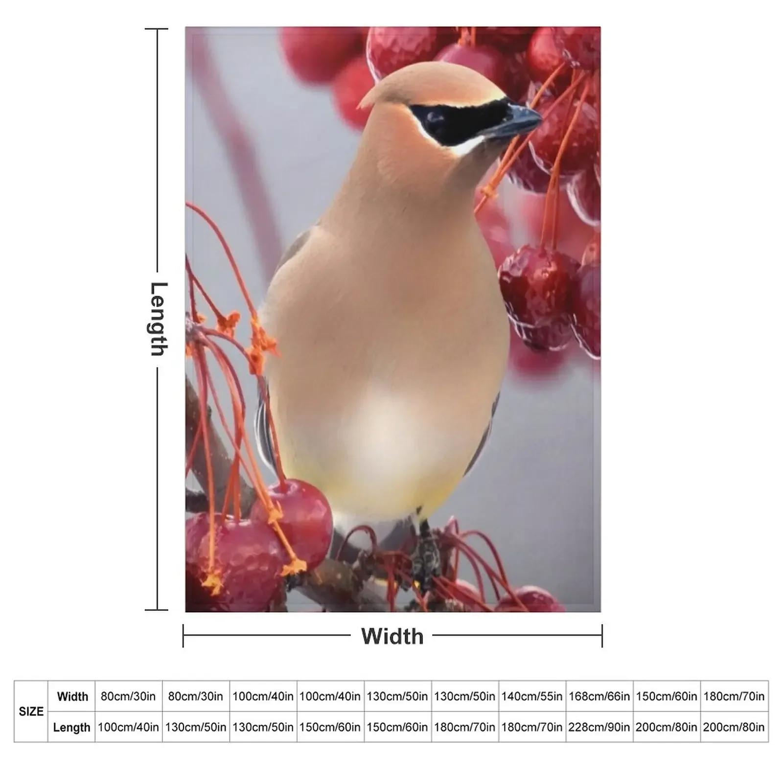 Second Cedar Waxwing Throw Blanket heavy to sleep Blankets For Baby christmas gifts Thin Blankets