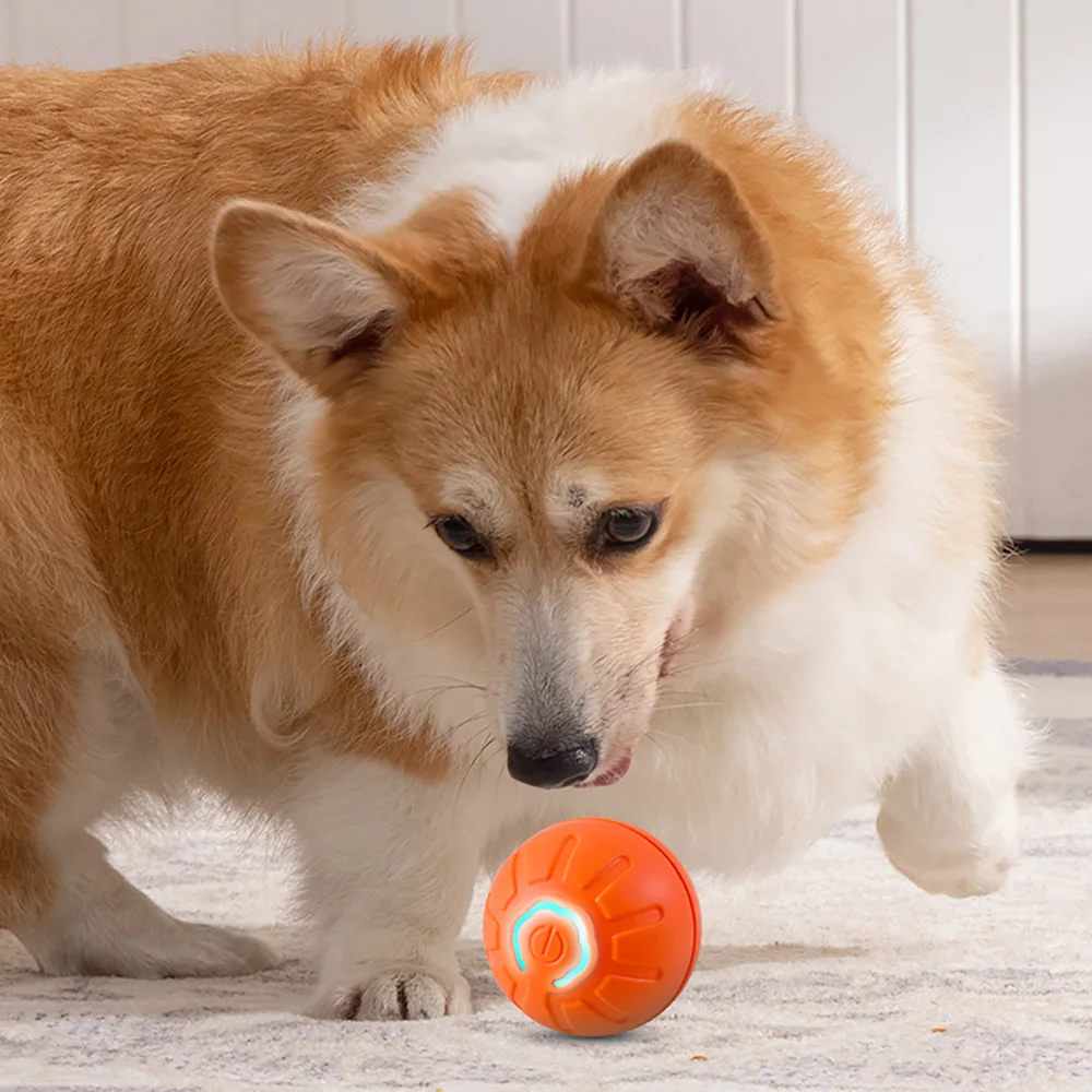 

New 2024 Dog Pet Toys Soothing Ball Rolling Jump ball Automatic cat teaser ball Vocalize Molar Bite resistant