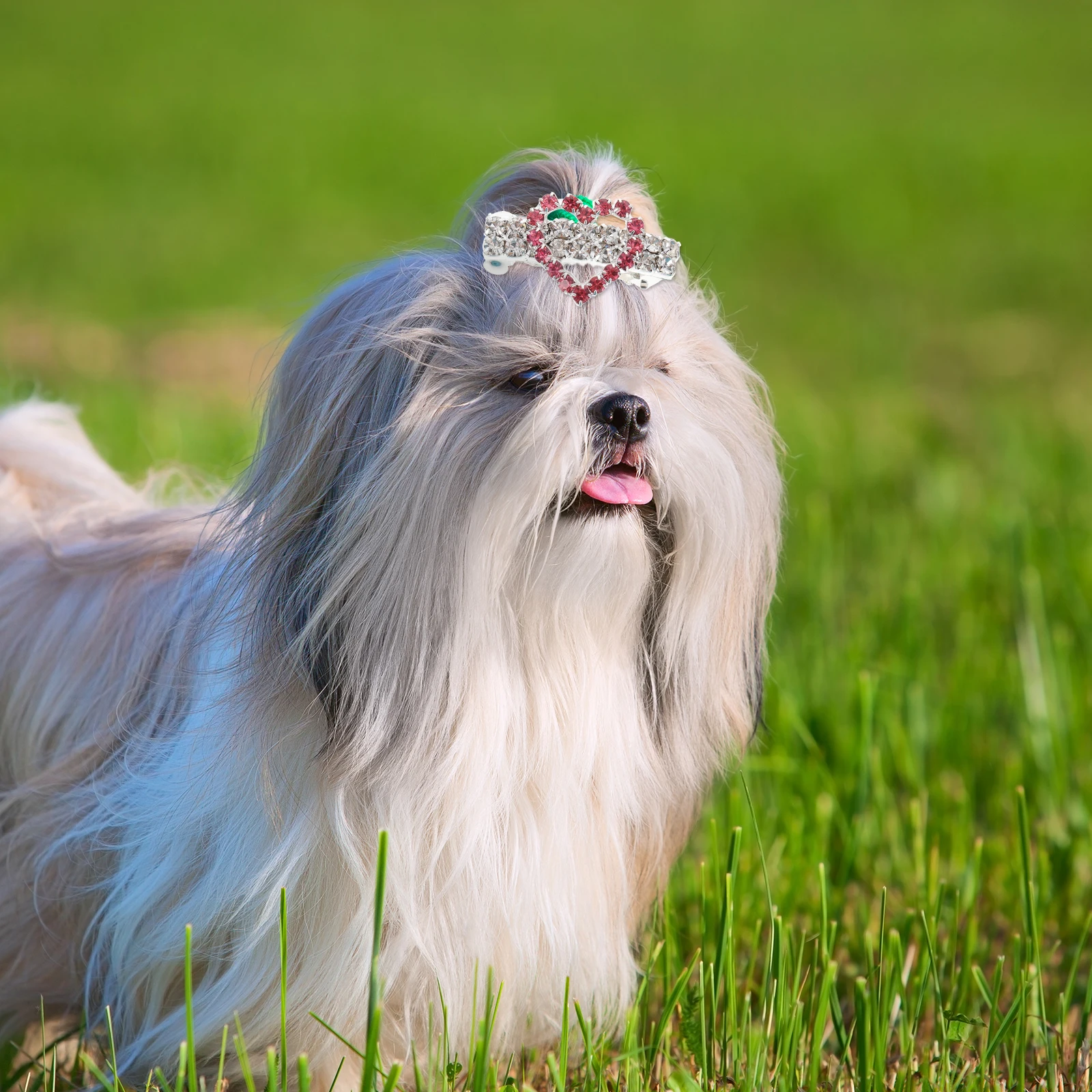 

5Pcs Pet Hair Clips Decorative Dog Cat Hairpins Rhinestone Design Hair Accessories Outdoor Pet Headwear Supplies